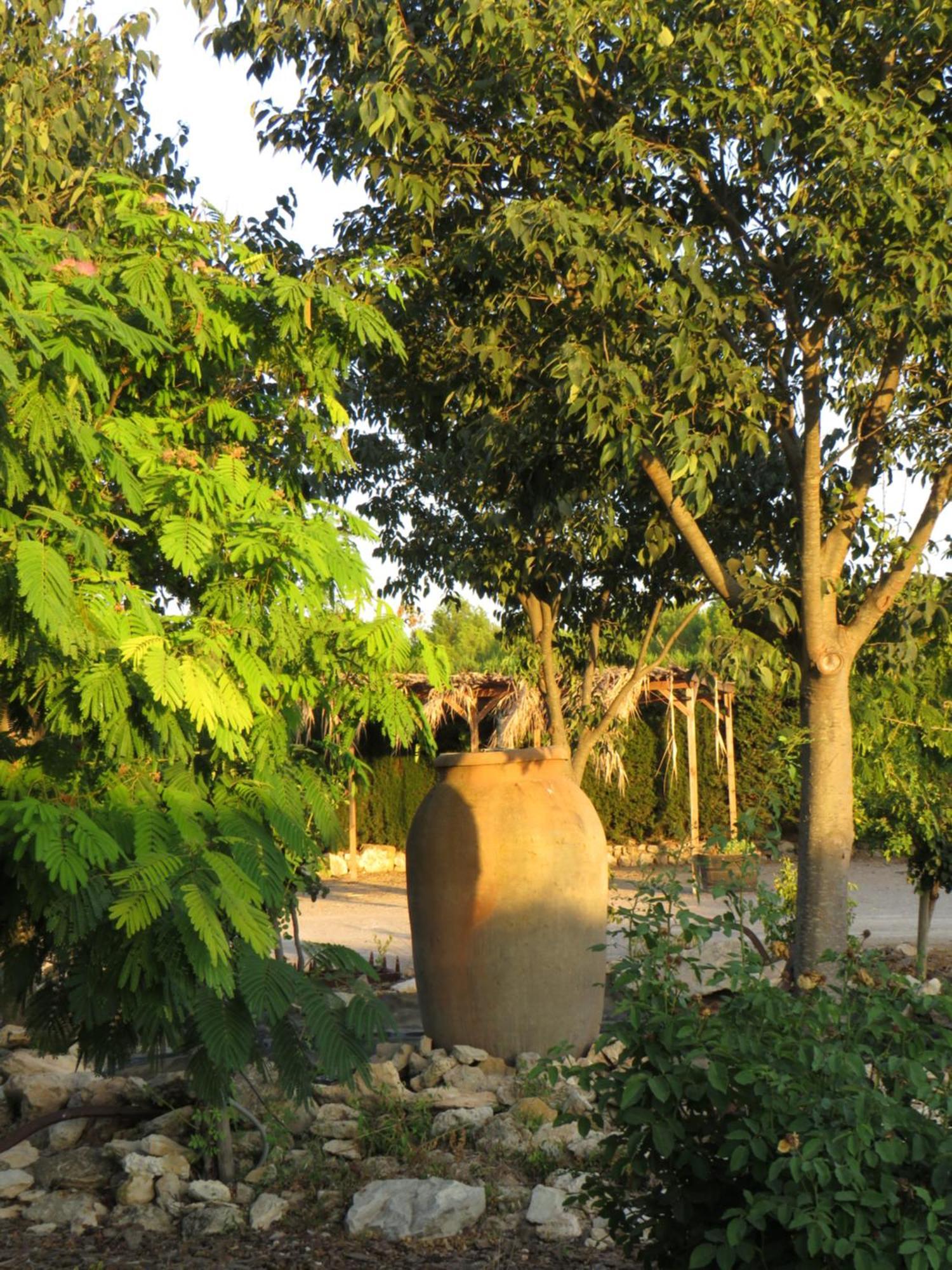 Hotel Enoturismo Mainetes Fuente-Álamo Exterior foto